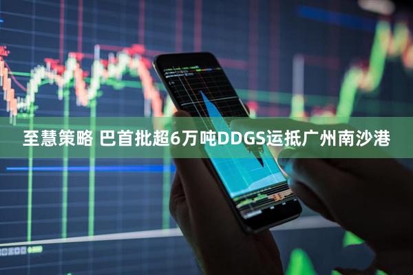 至慧策略 巴首批超6万吨DDGS运抵广州南沙港